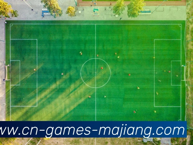 App Interface Preview